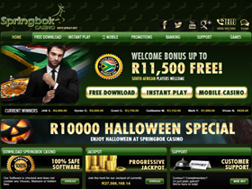 Screenshot of Springbok Casino Website